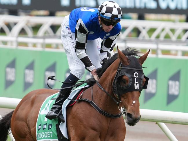 Nugget (GB) ridden by Michael Dee before the TAB Champions Stakes at Flemington Racecourse on November 09, 2024 in Flemington, Australia. (Photo by Jay Town/Racing Photos via Getty Images)