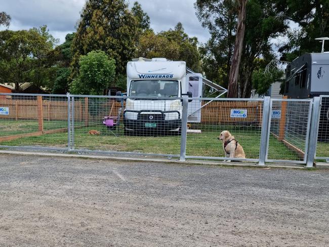 Excited Aussies have thrown their support behind a genius feature that would make travelling your four-legged friend far easier.