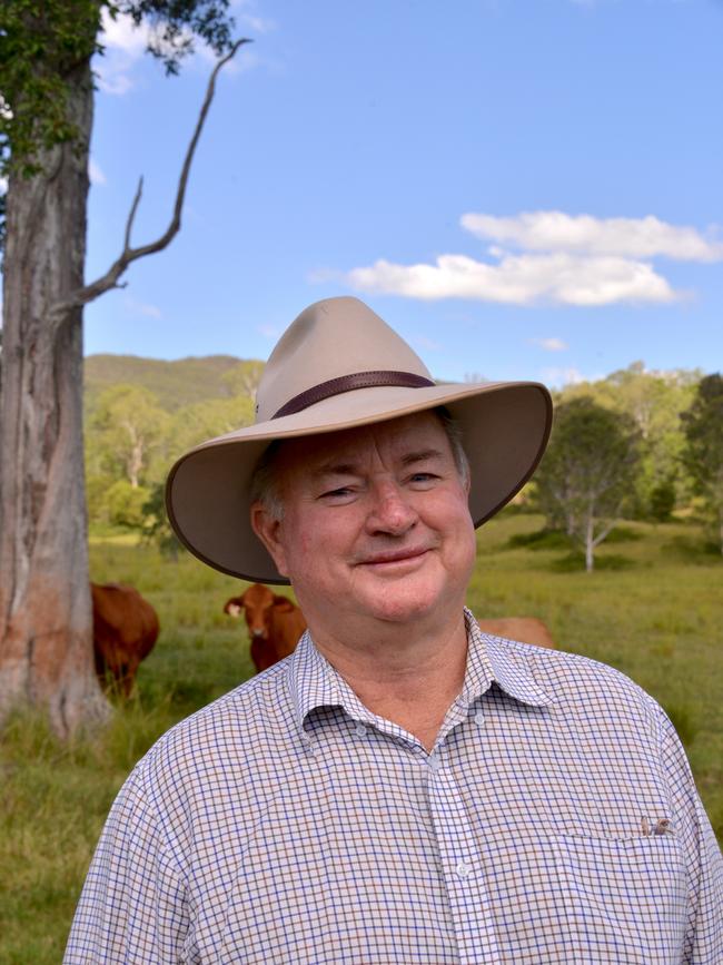 Cattle Australia chair David Foote. Pictures: John Elliott