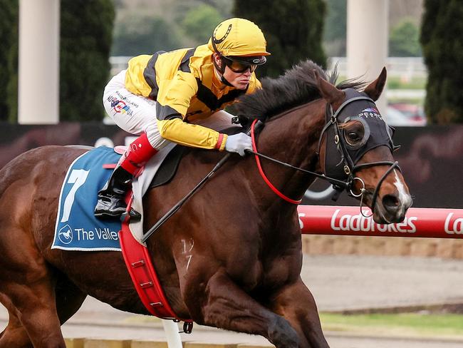 Acromantula ridden by Craig Williams wins the Paramount Liquor Carlyon Stakes at Moonee Valley Racecourse on August 26, 2023 in Moonee Ponds, Australia. (Photo by George Sal/Racing Photos via Getty Images)