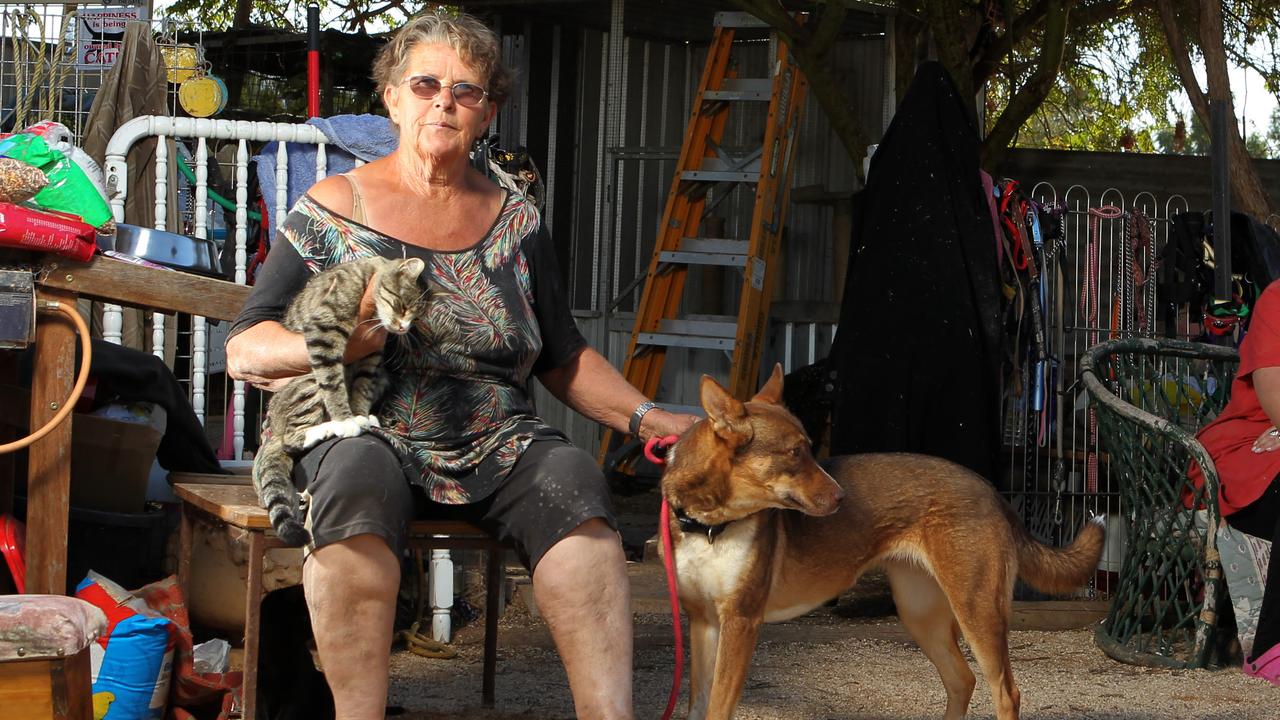 Moorook Animal Shelter loses Supreme Court battle to recover funds | The  Advertiser