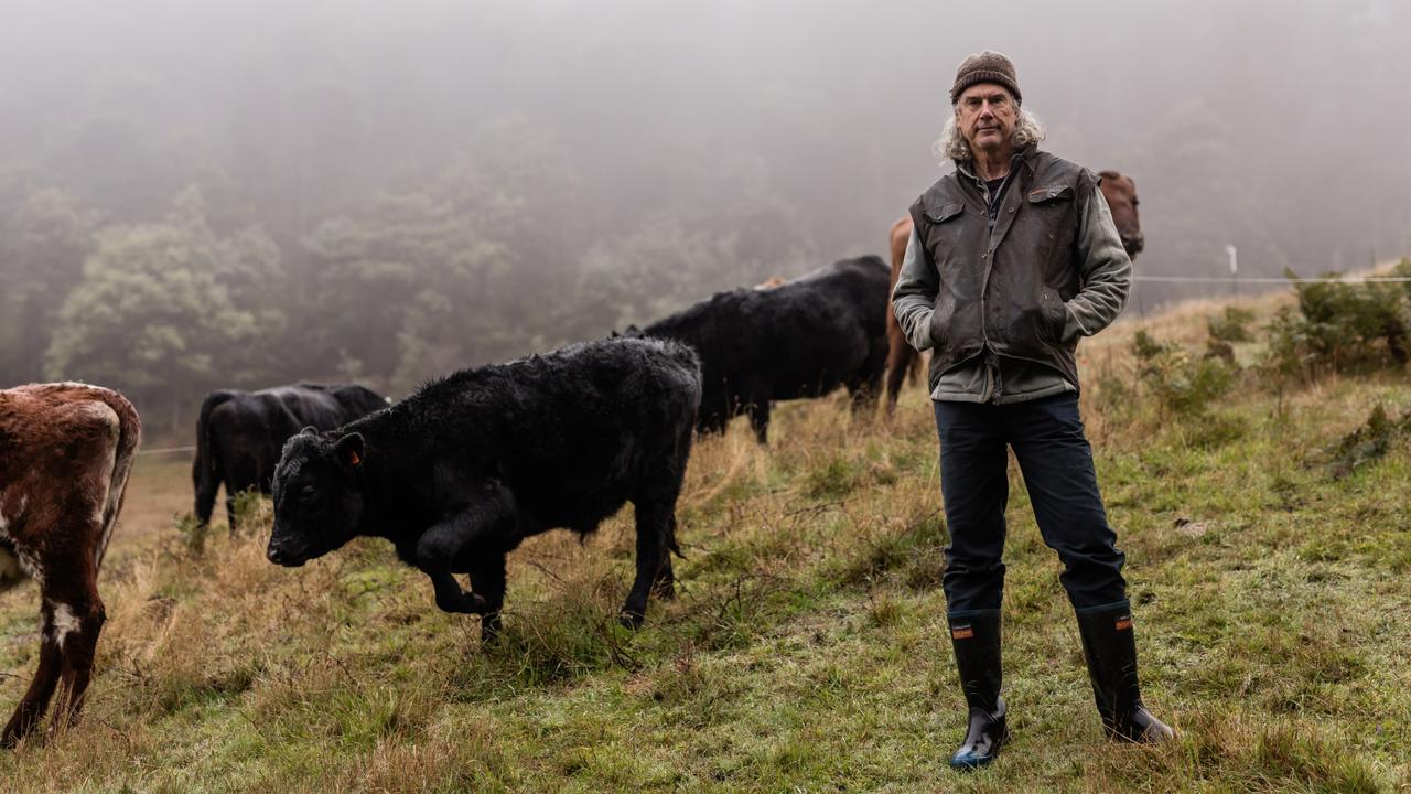 Chef and farmer Matthew Evans on his property at Cygnet. Picture: Adam Gibson