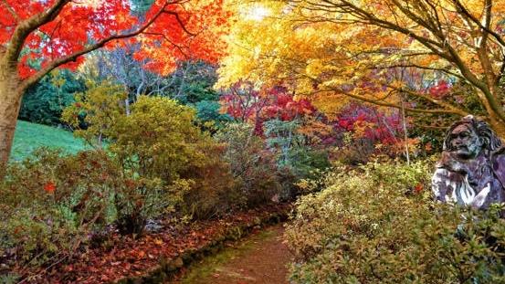 Forest Glade Gardens in Mount Macedon is almost 100 years old.