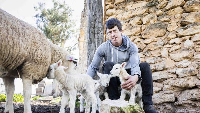 Tim Jorgensen at his Mertex Texels and White Suffolk Stud in Antwerp, Victoria. Picture: Nicole Cleary