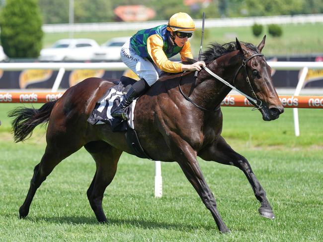 Unconquerable ridden by Damian Lane wins the Become An MRC Member Plate  at Caulfield Racecourse on December 14, 2023 in Caulfield, Australia. (Photo by Scott Barbour/Racing Photos via Getty Images)