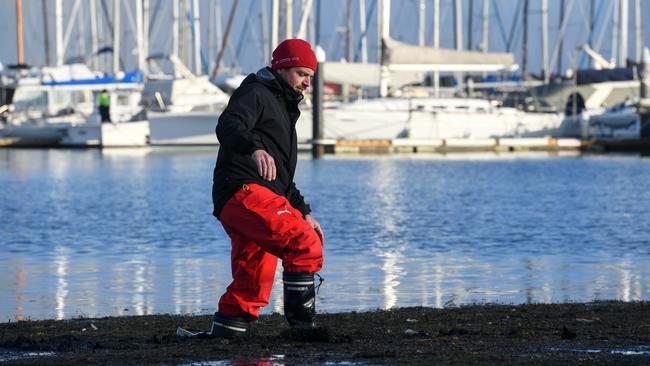 Sandringham Yacht Club Head Coach and Instructor Riccardo Deghi lugs it through the beach sludge. Picture: Penny Stephens.