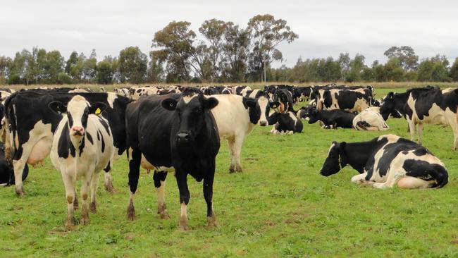 Elders is to take over Australian independent Rural Retailers, which supplies animal health, feed and crop protection products to about 340 rural merchandise stores across Australia.