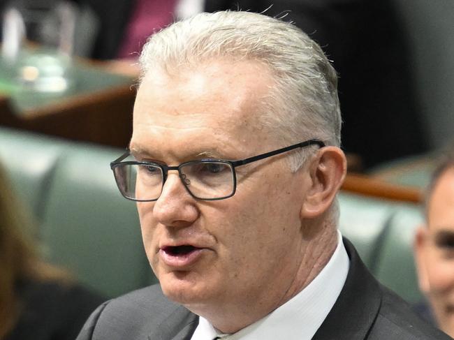 CANBERRA, AUSTRALIA  - NewsWire Photos - February 13, 2025:  Minister for Home Affairs and Minister for the Arts, Tony Burke during Question Time at Parliament House in Canberra. Picture: NewsWire / Martin Ollman