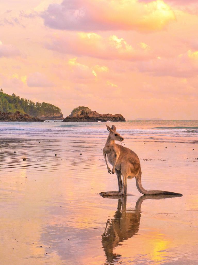 Mackay Tourism and Tourism Whitsundays has launched the Mates' Rates campaign to encourage locals to holiday within the region this winter. Photo: Daniel Brown (Mackay Tourism)