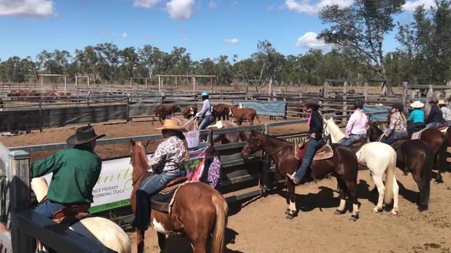 StockHorse Challenge CQ 2019