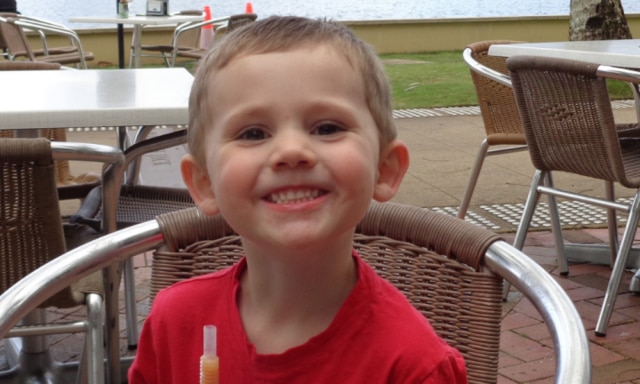William Tyrrell’s foster mum heard a 'high-pitched' scream while searching