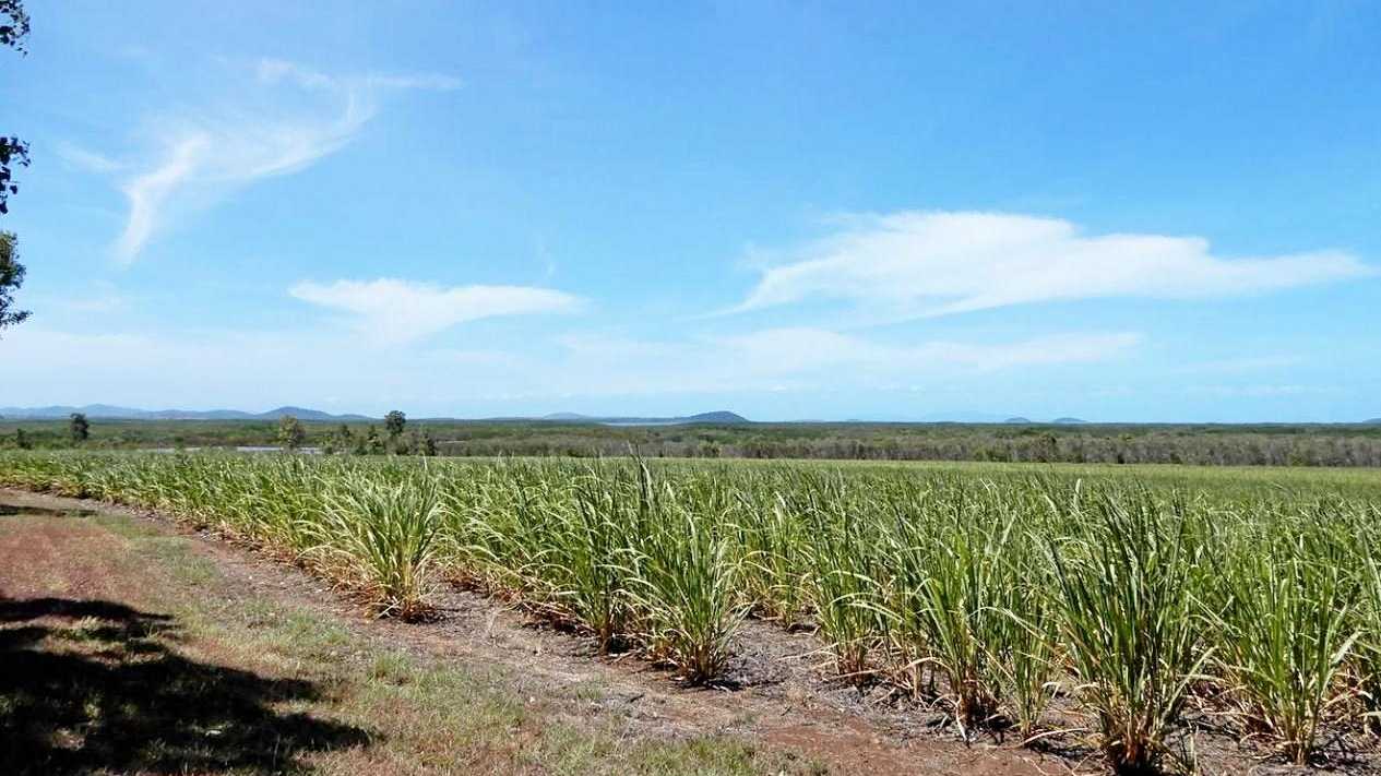 REVEALED: Dozens of Mackay region cane farms listed for sale | The