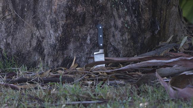 A large knife was found close to the scene but it is not yet known if it is related to the murder.