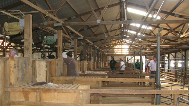 Wool shed at Cooinbil.