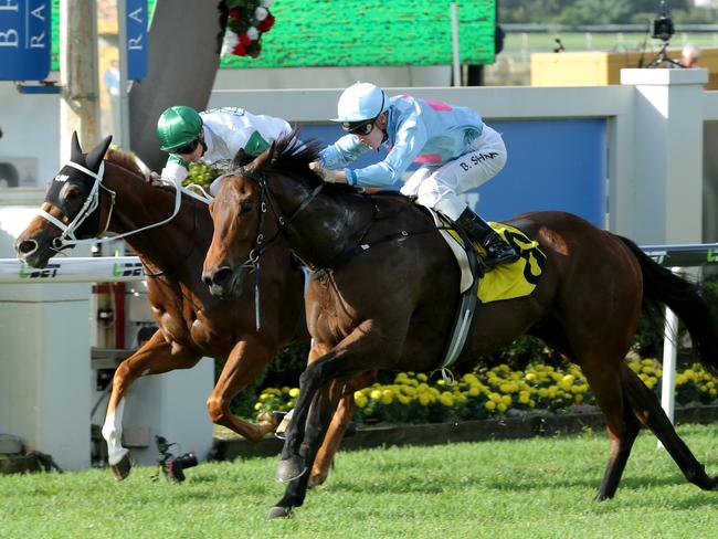 Race 5 - Blake Shinnl rides Snippets Land to win race 5 at Doomben - Doomben Cup raceday. Photo Mark Cranitch.