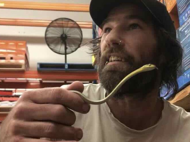 Snake catcher Drew Godfrey with a tree python in Bunnings