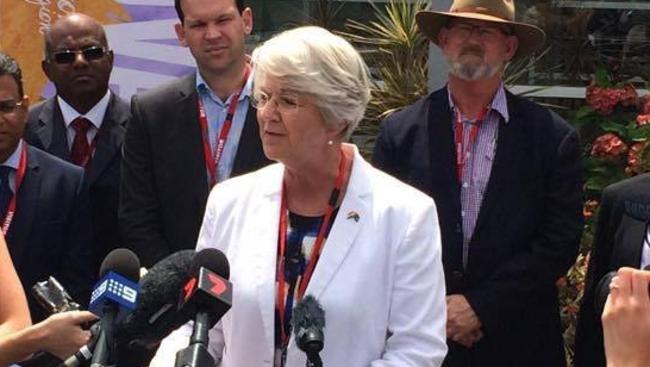 Rockhampton Region mayor Margaret Strelow has announced she will run as an independent at the state election.