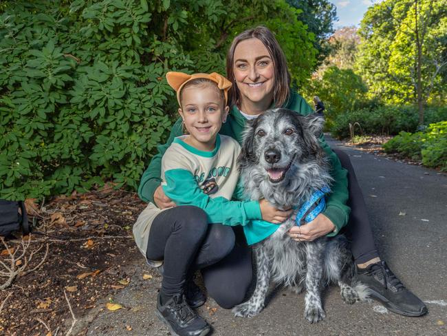RSPCA SA's Million Paws Walk in Adelaide on May 25, 2025. Picture: Ben Clark