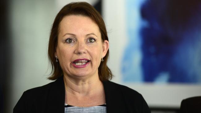 Health Minister Sussan Ley will not be the last politician to fall from grace over travel entitlements. (Pic: AAP)