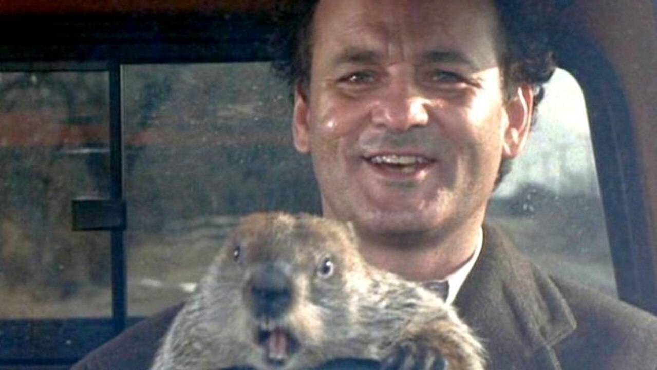 Bill Murray in the hit film Groundhog Day.