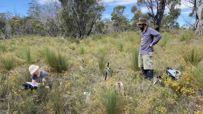 Karen Fagg and Micah Visoiu record habitat and set a camera at Granite Creek on the Freycinet Peninsula. Picture: DPIPWE