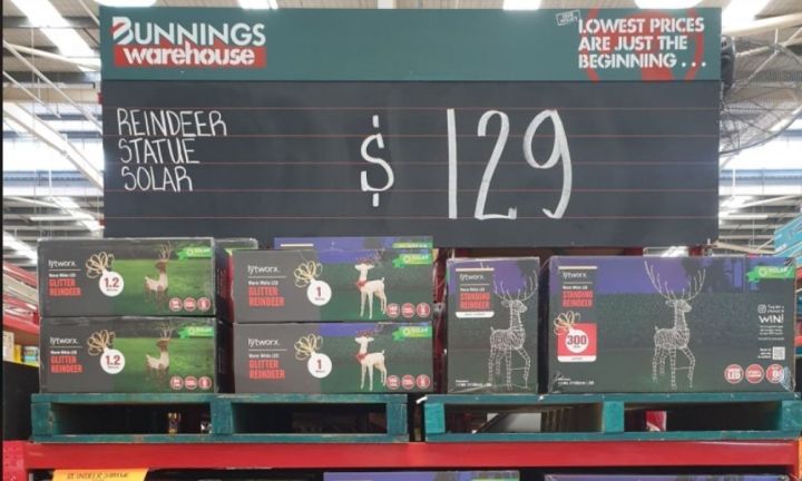 Unicorn deals light bunnings