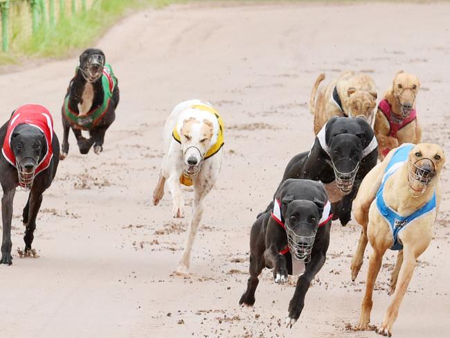 Baird’s greyhound racing ban was overturned.