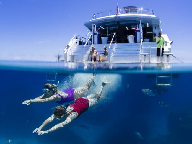 Snorkellers on a Great Barrier Reef day trip. Picture: Tourism Tropical North Queensland