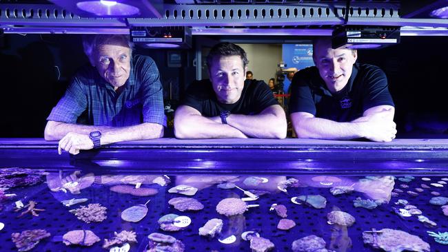 The Forever Reef Project has created the world's first living coral biobank, with 400 different species of coral collected from the Great Barrier Reef and safely stored in a controlled environment at the Cairns Aquarium. Forever Reef Project chief scientist Charlie Veron, managing director and project leader Dr Dean Miller and Cairns Aquarium CEO Daniel Leipnik examine the special biobank tanks at the aquarium, which are capable of holding 12,000 different coral samples. Picture: Brendan Radke