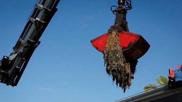 Crane removing ‘fatbergs’. Photo: Sydney Water