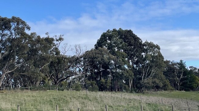 The approximate location where the tower will be installed. Picture: Matt Smith.