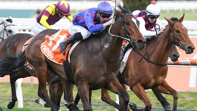 The owners of Ayrton have rejected a $2m offer after his last run at Flemington. Picture: Racing Photos via Getty Images