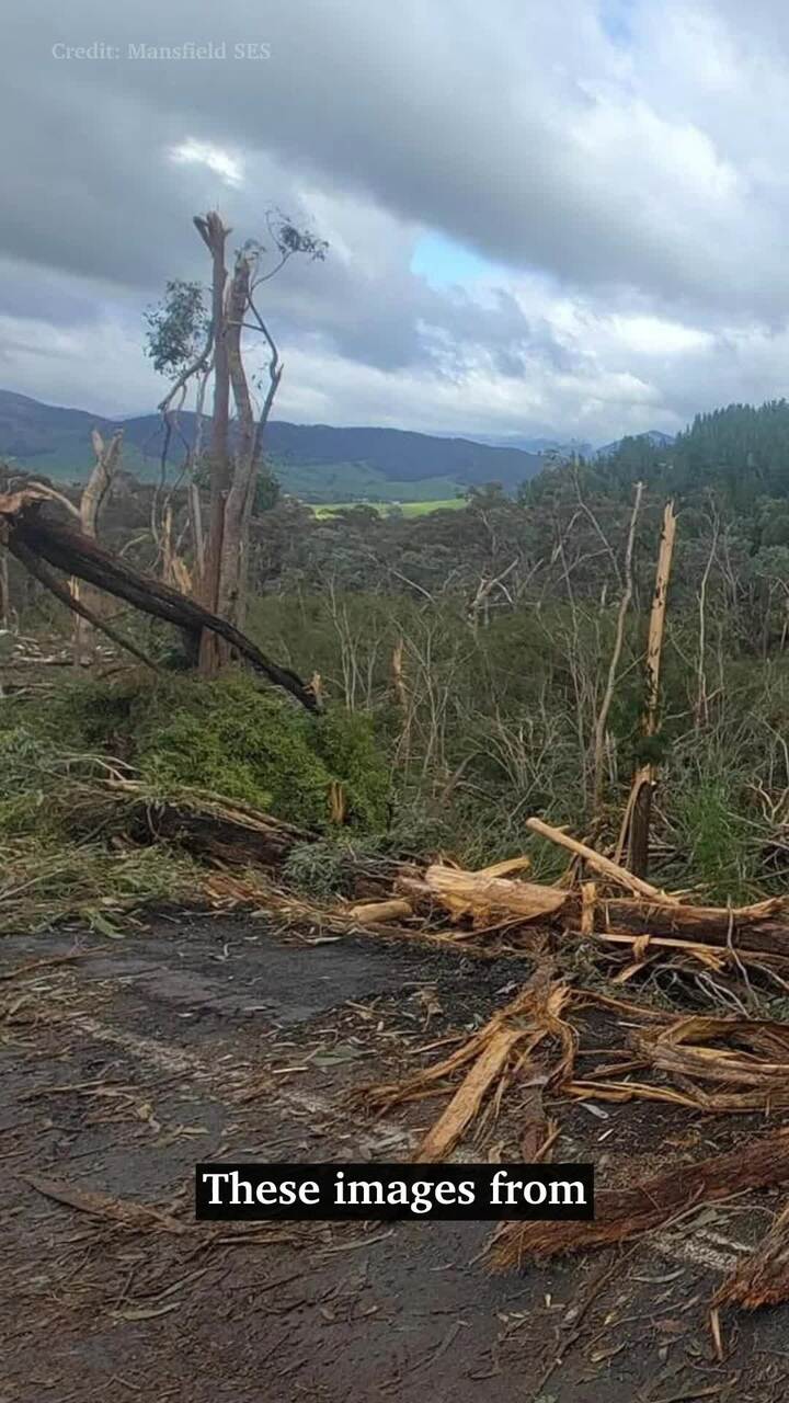 Wild wind hits Victoria - and there's more to come