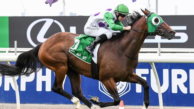 Morvada wins the Shaftesbury Avenue Handicap at Flemington. Picture: Pat Scala/Racing Photos