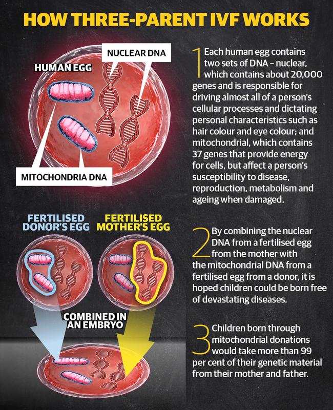 How three-parent IVF works.