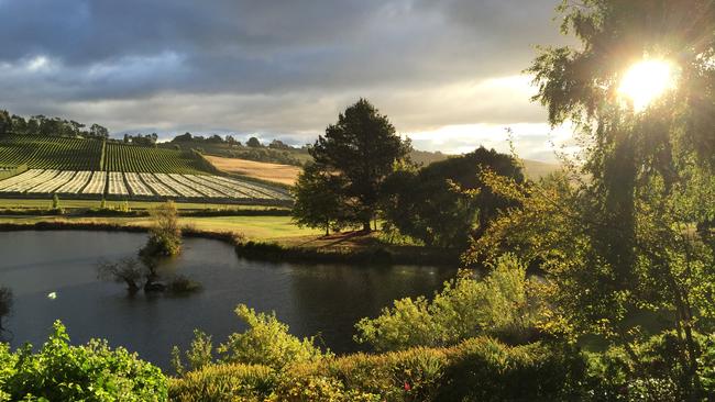 Josef Chromy Wines, 370 Relbia Rd, Relbia. For TasWeekend story on northern Tas wineries.