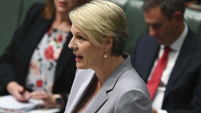 Minister for Environment and Water Tanya Plibersek. Picture: NCA NewsWire / Martin Ollman