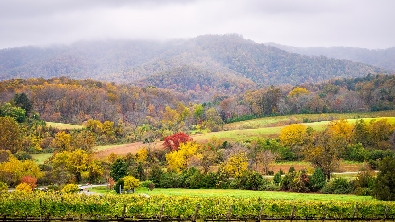 Charlottesville and the Monticello Wine Trail: World’s new top wine ...