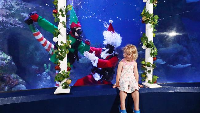 Santa Claus and his naughty elf be making appearances at the Cairns Aquarium every day at 11:45am between now and Christmas. Poppy Thomas, 3, of Whitfield was delighted to see Santa and his naughty elf Jenny Cheetham in the Coral Sea Oceanarium on Friday. Picture: Brendan Radke