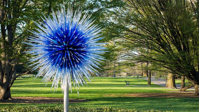 Adelaide Botanic Garden showcases the work of glass artist Dale Chihuly.