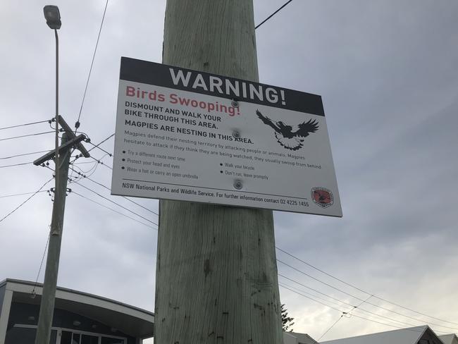 Swooping magpie sign along the Nicholson Park cycleway.