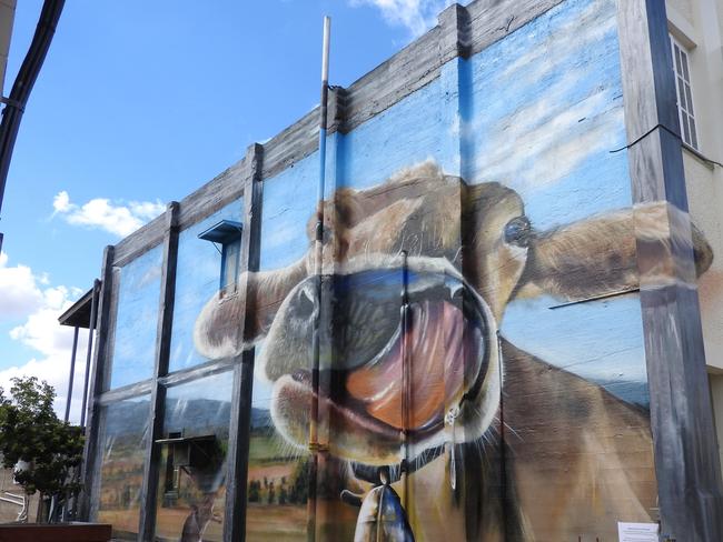 MONTO MAGIC: Mural created on the old bank for the Monto Magic Art Trail, by Brisbane-based artists DRAPL (Travis Vinson) and The Zookeeper (Joel Fergie). Picture: Contributed