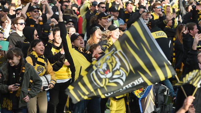 Richmond supporters at Punt Road Oval go wild after their team wins the 2017 AFL Grand Final. Picture Tony Gough