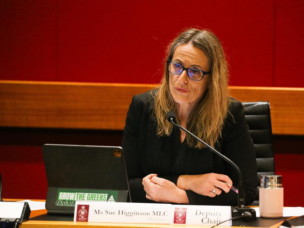 Greens MP Sue Higginson slammed Mr Minns’ decision. Picture: NewsWire / Gaye Gerard