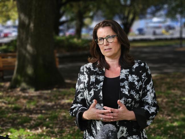 Independent MLC for Nelson Meg Webb speaks to the media on Parliament Lawns in Hobart on Thursday, April 11, 2024.