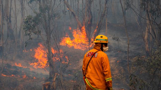 CFA tackle spot fires along the Great Alpine road just outside Omeo. Picture: Jason Edwards