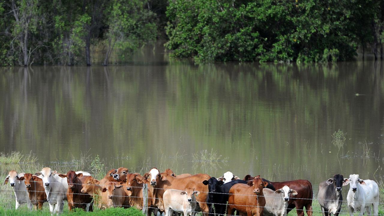 Times change: Overseas interests and Australians have transacted billions of dollars in farmland and water assets since the last update to the Federal Government’s foreign investment register. Picture: Torsten Blackwood/AFP