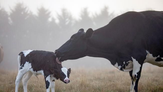 Not all agribusinesses are sharing the spoils of the food boom.