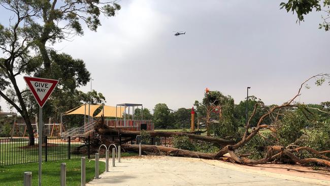 A large trees down at new council playground at Lionel Watts Reserve. Picture: Jim O'Rourke.