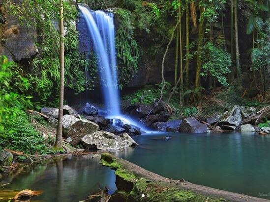 Mount Tamborine waterfalls are part of the lure for the thousands of tourists who visit the community every year. Picture: @steve.batho.photography